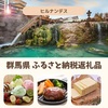 【ヒルナンデス】群馬県ふるさと納税返礼品～ハーゲンダッツ～