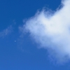 空を彩るジェット機の数々