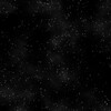 白黒の星空
