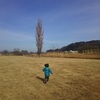 【育児】幼稚園と療育の併用をしてみての感想