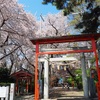 神社の桜