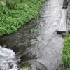 満水