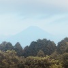 今朝の景色