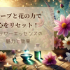 ハーブと花の力で心をリセット！フラワーエッセンスの魅力と効果