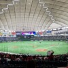 2021ヤクルトスワローズ日本一