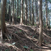 古宮城　（愛知県　新城市）2
