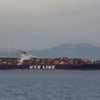 NYK VEGA