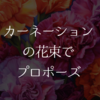 カーネーションの花束でプロポーズ！花言葉や贈る本数は何本？
