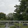 寒い、寒すぎる！札幌の今の外の気温は11度です