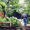 聖なる場所を巡る　愛宕神社詣九十六日目 芝公園宝珠院(三つ巴の蹲踞）　2016.5.30月曜日