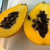 【味と食感は？！】初めてパパイヤを購入して食べてみた