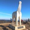 陣馬山登山！岩戸山・小渕山・鷹取山藤野町十五名山ルート詳細！