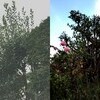 抜けない・・・