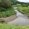 【渓流釣り】天気と天災には勝てない　Day4