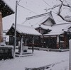 ３月の大雪＋ソフトフランスとベーグル