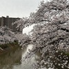 4月13日(日) 悠久山12kジョグ、小嶋屋本店で夕飯