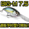 【Megabass】サトシン監修のMAX7.5mのスーパーディープクランク「BIG-M 7.5」通販予約受付開始！