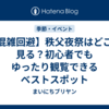 【混雑回避】秩父夜祭はどこで見る？初心者でもゆったり観覧できるベストスポット