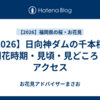 【2026】日向神ダムの千本桜｜開花時期・見頃・見どころ・アクセス