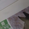 明目張胆