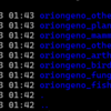 真核生物の遺伝子構造を予測する OrionGeno