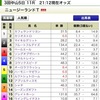 NZT・阪神牝馬S2020の買い目