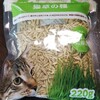 猫草