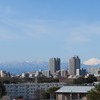 浅間山公園_富士山綺麗・・（東京都府中市）