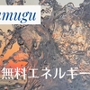 出店者の紹介～tsumugu～