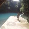 【Vanuatu】Santo ✈︎バヌアツにしかない淡水のブルーホールと謎の飲み物KAVA