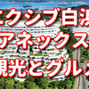 【白浜旅行】エクシブ白浜アネックス周辺のおすすめスポットと楽しみ方
