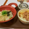 すき家　ミニ牛丼　と　新とりそぼろ丼　船橋習志野店