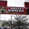 AKITAワンダフルフェス2019@代々木公園～犬良し、酒良し、肴よしの秋田フェス～