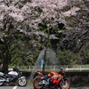 バイクのお話し⑤　２ndバイクⅡ編。