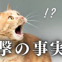 【衝撃】配信者の9割は視聴者一桁という事実
