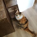 たまごから一歩ずつ