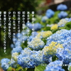こころの道しるべ（220）愛を育てる