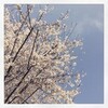 『36歳だと思っていた1年間』
