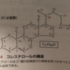 代謝学⑭　～悪玉とされているが実は善だった～