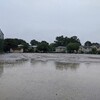 2020年7月25日 雨には勝てず…🐌
