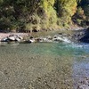 企業共同放流(薄川・赤平川)実施