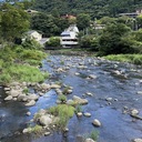 走るアホウドリ〜しがない地方国立大生〜