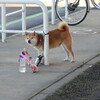 2026-01-10(Sat)