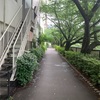 目黒散歩道  スターバックスリザーブ東京まで