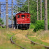 緩いS字カーブを走る、ED333とホキ1245を撮る！(弘南鉄道弘南線撮影編)