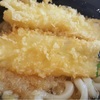 イカ天うどん