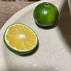 自然の恵み