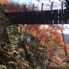 紅葉　山茶花　高低気圧の繰り返し