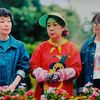 11月13日、由紀さおり(2024)