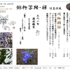 4月 卯月 April 2022 広島 Hiroshima 令和4年　広島 雀の子 俳句会　福山 尾道